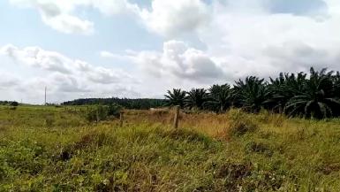 Abidjan immobilier | Terrain à vendre dans la zone de Grand-Bassam à 14 000 FCFA  | Abidjan-Immobilier.net