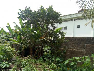 Abidjan immobilier | Terrain à vendre dans la zone de Cocody centre à 270 000 000 FCFA  | Abidjan-Immobilier.net